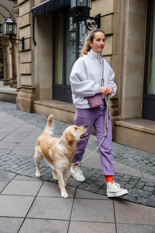 Сумка для ласощів і аксесуарів собак Palopa Karl M Ягідний