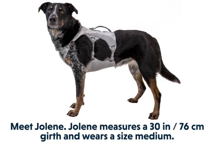 Охолоджувальна шлейка для собак Ruffwear Swamp Cooler™ M 69-81 см Сірий