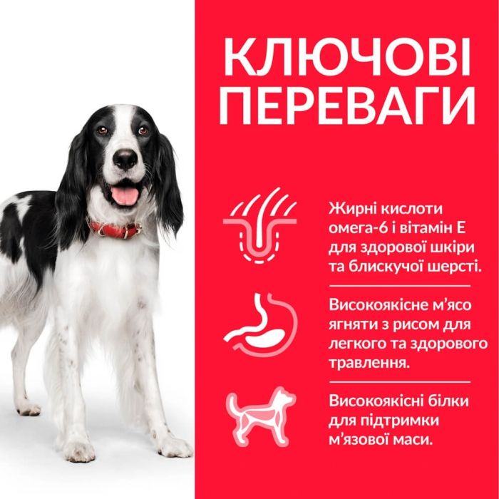 Hills (Хіллс) Sp Medium Adult Chicken-сухий корм з куркою для собак середніх порід 2,5 кг