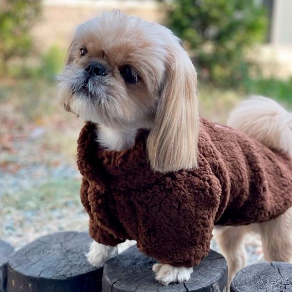 Кофта Вінні на овчині (хлопчик) XS