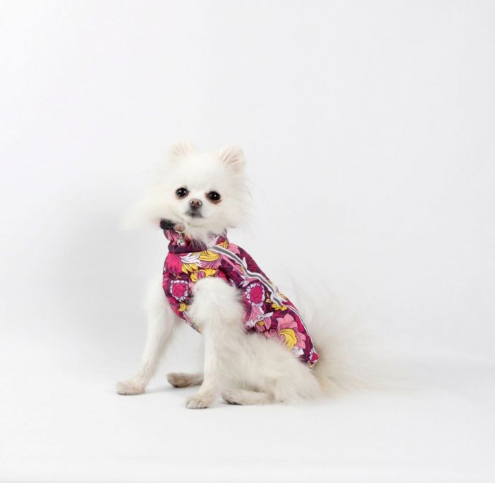 Набір Фрезія жилет силікон + комбінезон велсофт бордо (дівчинка) S