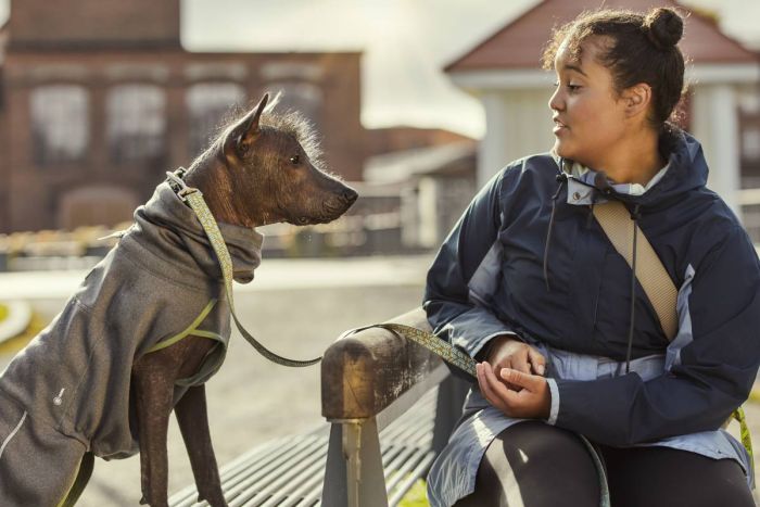 Флісова куртка для собак Hurtta Razzle-Dazzle Midlayer 65 Сірий