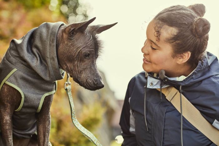 Флісова куртка для собак Hurtta Razzle-Dazzle Midlayer 35 Сірий