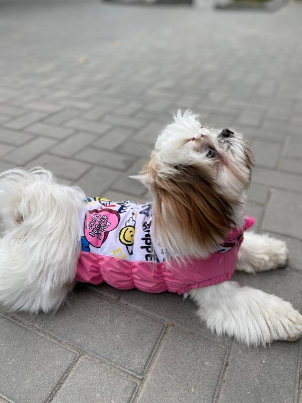 Марго жилет на овчині для собак дівчаток S2