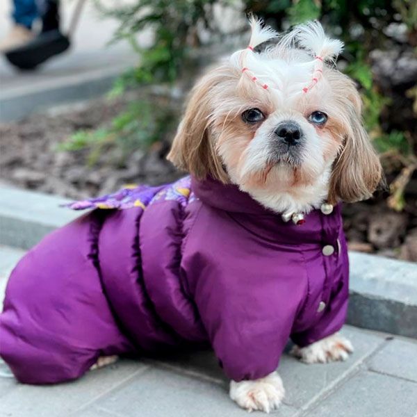 Комбінезон Азалія силікон (дівчинка) S