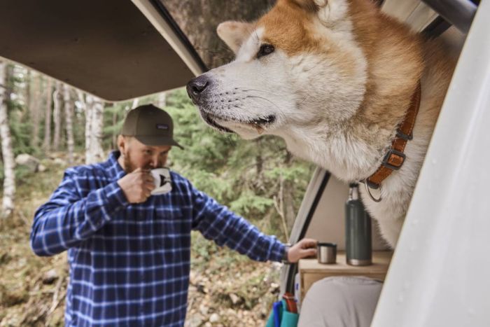 Нашийник для собак Hurtta Casual ECO 20-30 Коричневий