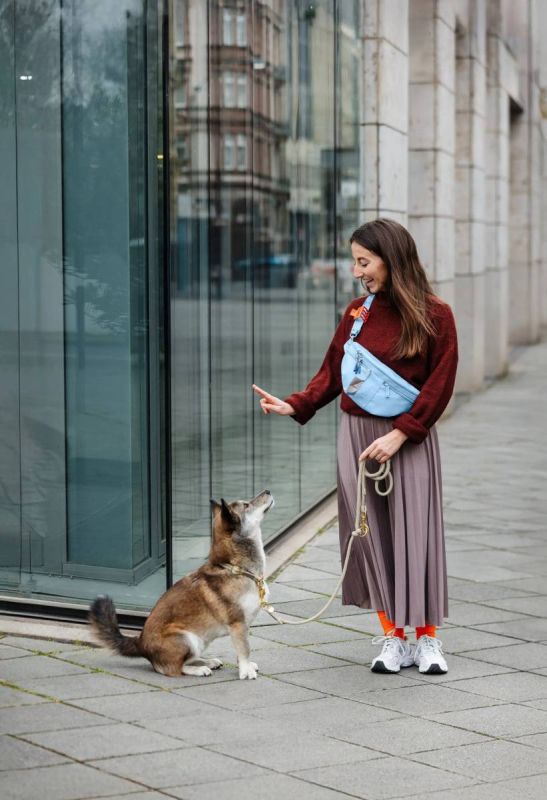 Поясна сумка-бананка для ласощів та аксесуарів собак Palopa Emma Світло-блакитний