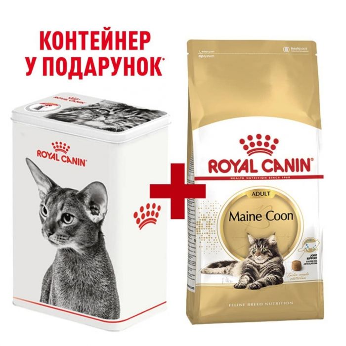 Акція сухий корм Royal Canin Mainecoon Adult 2кг + контейнер в подарунок 