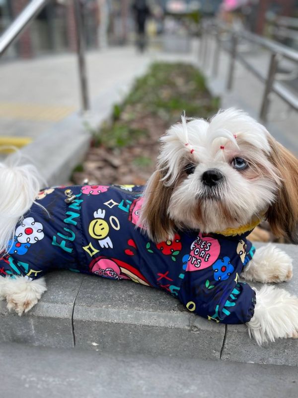 Ляля комбінезон на овчині без силікону для собак дівчаток S2 мопс