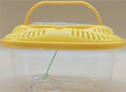 Тераріум пластиковий овальний з пальмою Розмір 27.51815