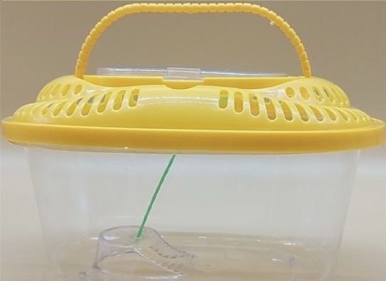 Тераріум пластиковий овальний з пальмою Розмір 27.51815