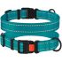 Ошейник для собак BronzeDog бирюза пластиковий фастекс 1225 50Т 16мм( 25-33см)