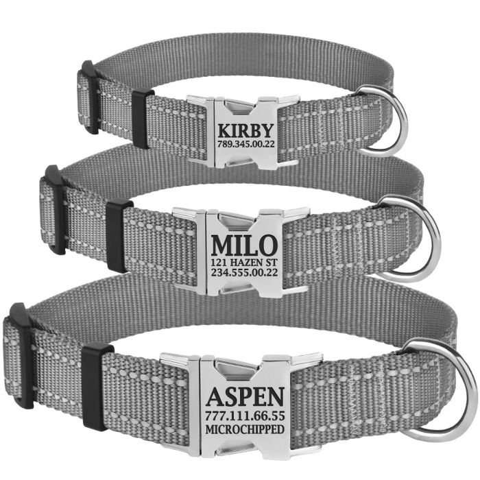 Нашийник для собак BronzeDog 25мм (35-53 см) Сірий Металевий фастекс 1311 34Т 