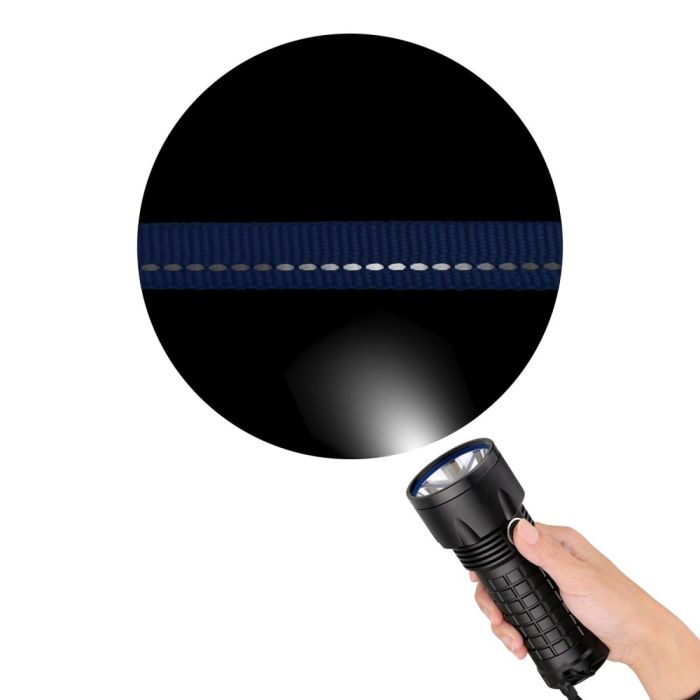 Нашийник для собак BronzeDog Корал металевий фастекс 10мм (18-28 см) 1224 31Т 