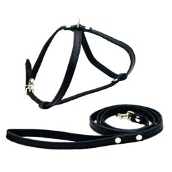 Набір шлейка вісімка з шкіряним повідцем строчений з підкладом Червоний