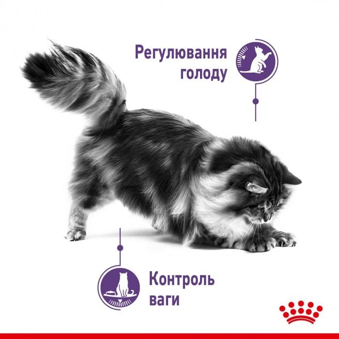 АКЦІЯ Royal Canin Appetite Control набір корму для стерилізованих котів 2 кг + 4 паучі 