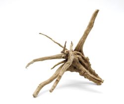 Корінь азалія ХХXL (14001600 г)