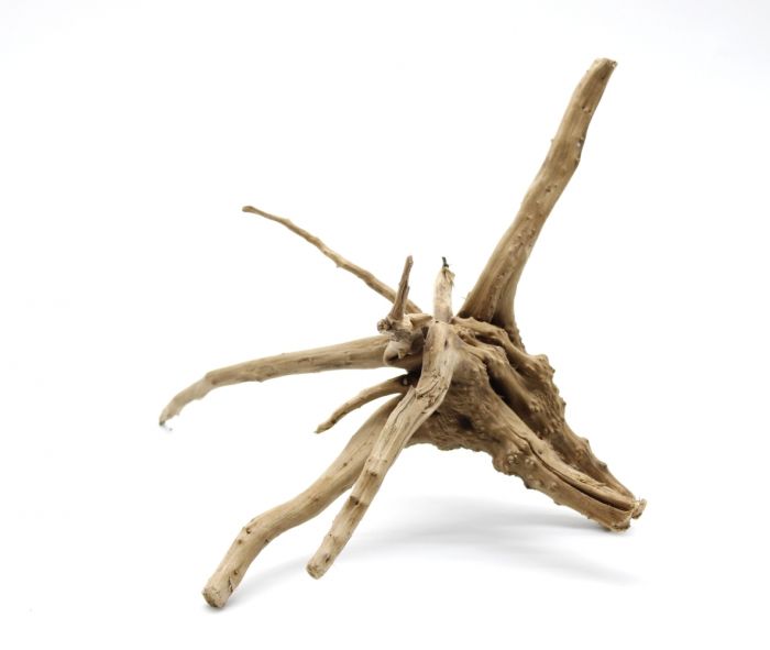 Корінь азалія ХХXL (14001600 г)