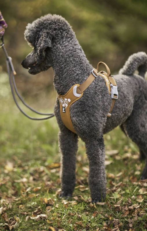 Шлейка для собак пом'якшена Hurtta Weekend Warrior 100-120 см Бежевий