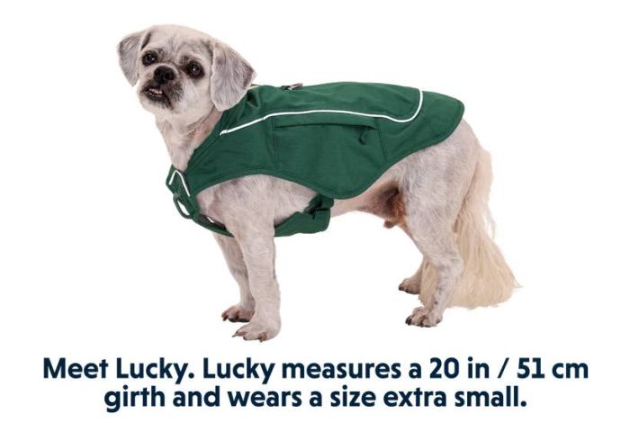 Куртка для собак Ruffwear Overcoat Fuse™ XL Зелений