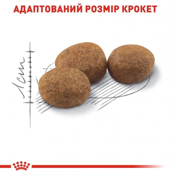 АКЦІЯ Royal Canin STERILISED для стерилізованих кішок набір корму 2 кг + 4 паучі 