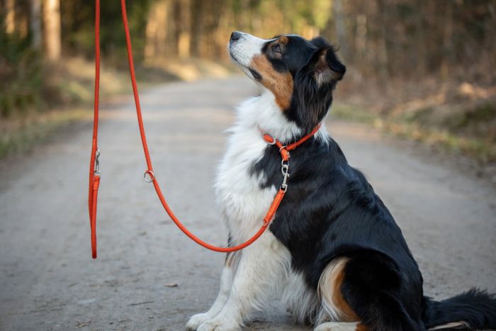 Повідець-канат перестібка вільні руки Wolters K2-Rope Programme 3 м/9 мм Помаранчевий