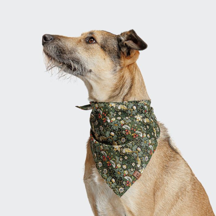 Бандана для собак Cloud7 Strawberry Thief Зелений M