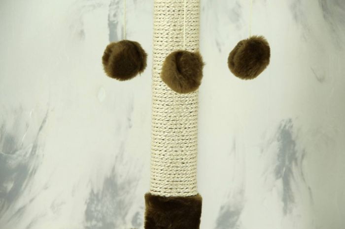 Когтеточка Арлекін, сизаль трояндовий