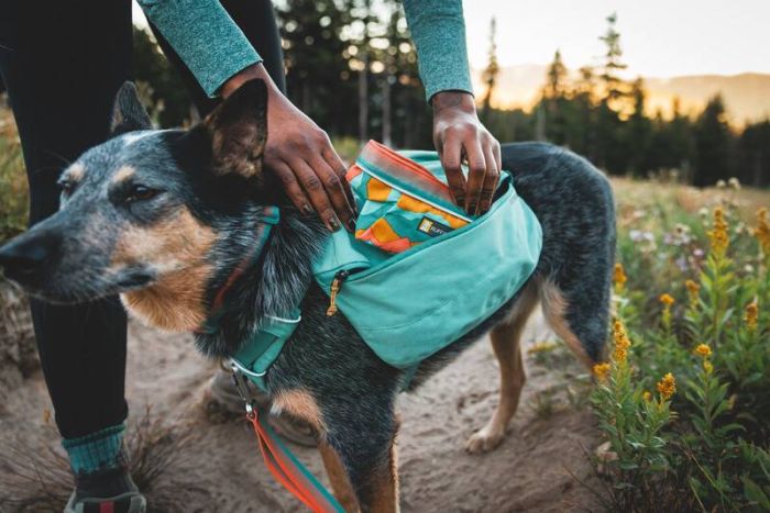 Шлейка-рюкзак для собак Ruffwear Front Range™ M Зелений