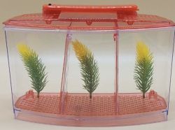 Відсадник пластиковий трисекційний 291017 