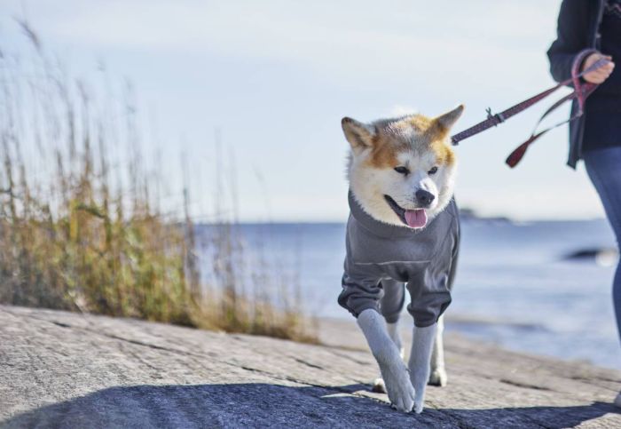 Утеплений комбінезон для собак Hurtta Midlayer Overall 50M Сірий