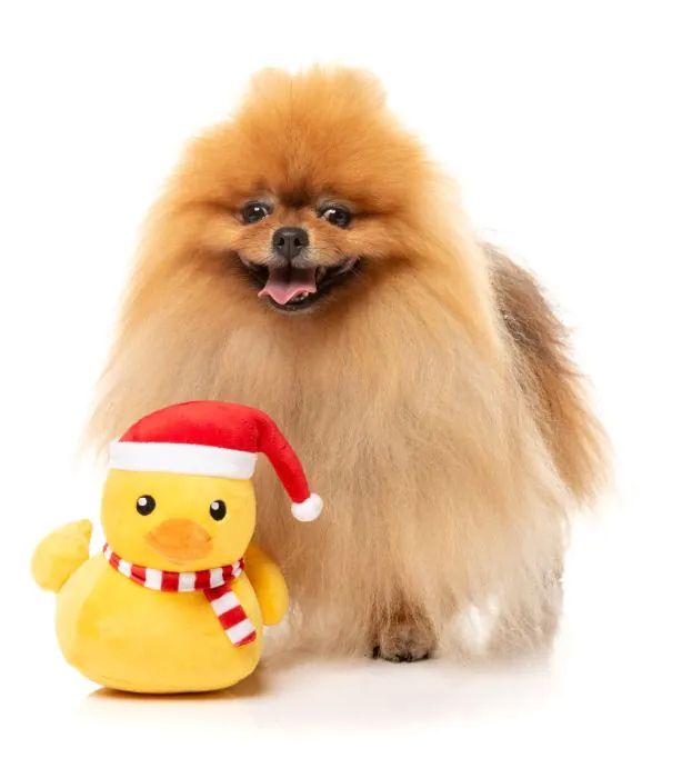 М'яка іграшка для собак FuzzYard Різдвяна качка