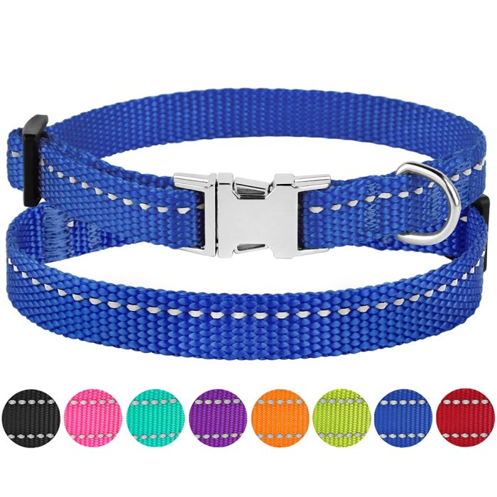 Нашийник ACTIVE для собак дрібних порід нейлоновий зі світловідбиттям і металевою пряжкою 10мм  Обхват шиї 18-28см Синій 