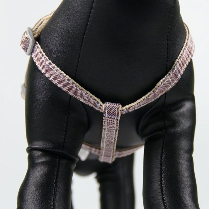 Шлея з повідцем рибка 1,0 х120 см клітинка Блакитний