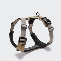 Y-подібна шлейка для собак Cloud7 Y-2 Harness AKTIV Сірий XXS