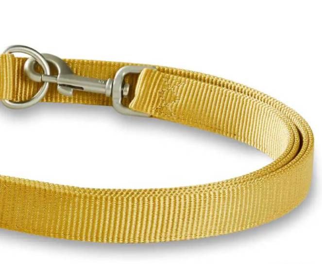 Повідець перестібка з нейлону для собак маленьких порід та котів Wolters Professional S 2 м / 10 мм Жовтий