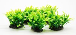 Набір рослин для акваріуму, 10х10х8 см (5 шт) 