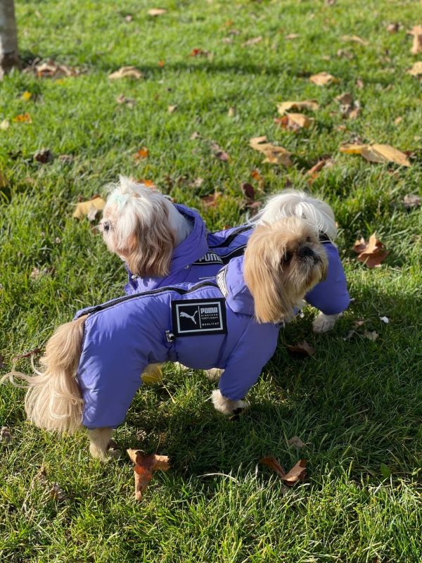 Комбінезон Пума силікон (хлопчик) XXS