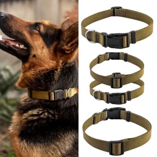 Нашийник брезентовий Фастекс Franty 201021 15мм 19-27см XS