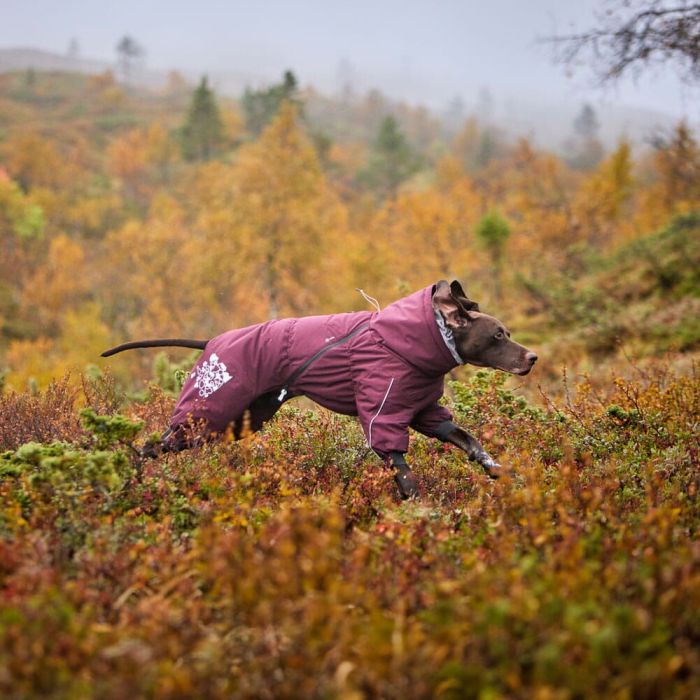 Теплий комбінезон для собак Hurtta Extreme Overall Фіолетовий 45M