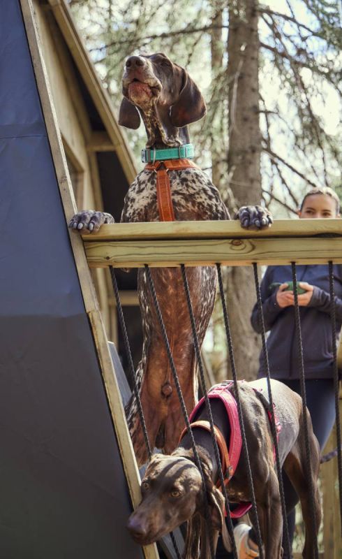 Нашийник для собак Hurtta Casual ECO 25-35 Бірюзовий