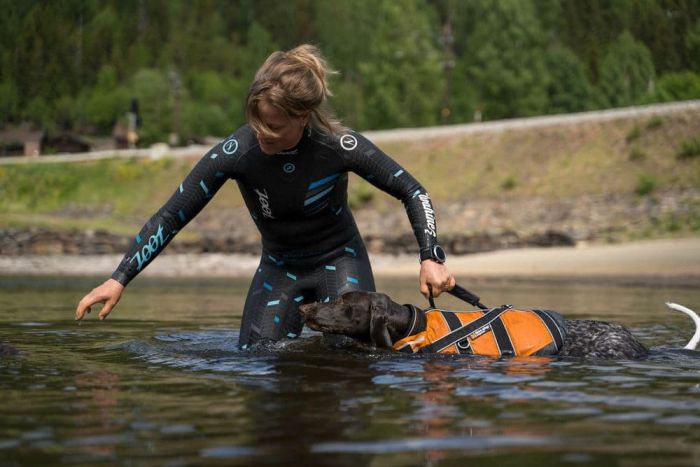 Рятувальний жилет для собак Safe life jacket 2.0 Non-stop dogwear Помаранчевий 2