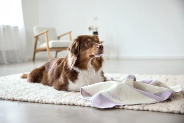 Плед для собак Palopa Ida M Рожево-фіолетова смужка