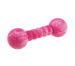 Іграшка гантель для собак Wolters Aqua-Fun Gym 23 см / 7 см Малиновий