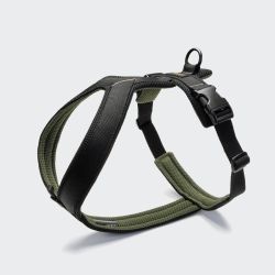 Y-подібна шлейка для собак Cloud7 Y-1 Harness AKTIV Чорний M