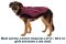 Куртка для собак Ruffwear Overcoat Fuse™ XXS Фіолетовий