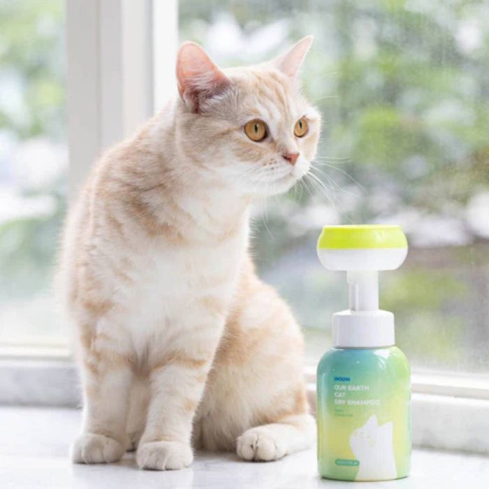 Веганський сухий шампунь для котів Inoom Cat Day Shampoo 300 мл