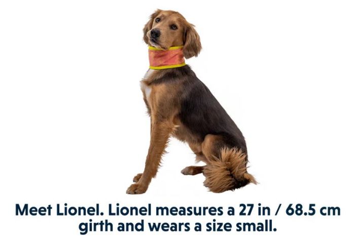 Охолоджуючий бафф на шию собаці Ruffwear Swamp Cooler™ M Рожево-синій