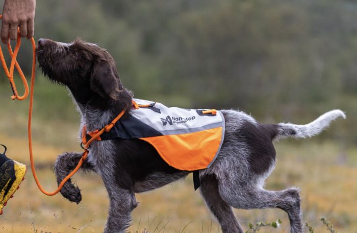 Жилет для собак Non-stop dogwear Protector cover 2.0 Білий/Чорний/Помаранчевий 2XS