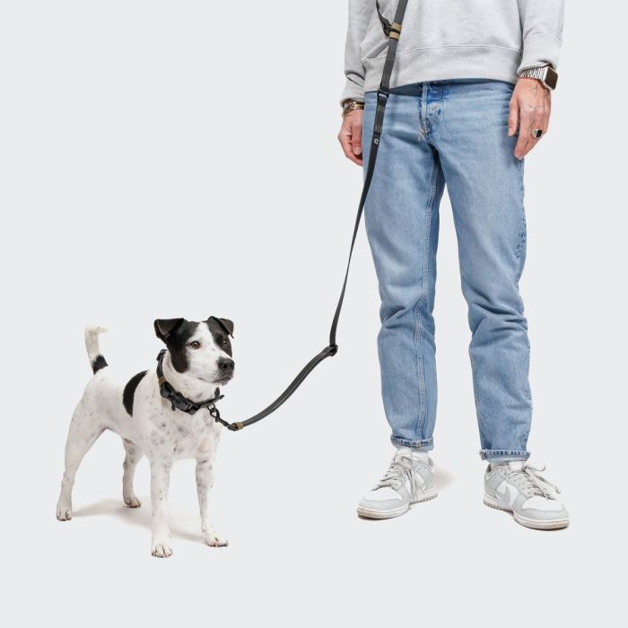 Повідець вільні руки для собак Cloud7 Hands-Free-Leash Ipanema Чорний One Size